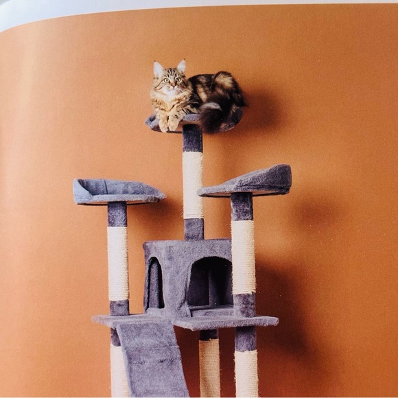 For Cats Only Pascale Weber Hatje Cantz Hardcover Cat Lovers Gift Book - Picture 8 of 13